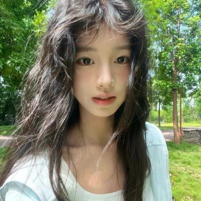犬犬风尘