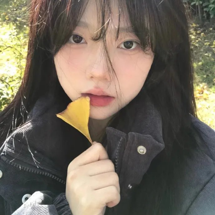 深入北方的小路
